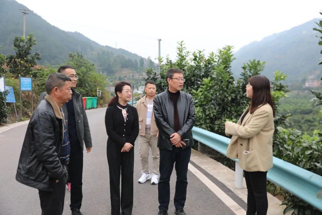 6e3f3e08-41a5-4fdb-8da3-16c568500550.jpg 6e3f3e08-41a5-4fdb-8da3-16c568500550.jpg